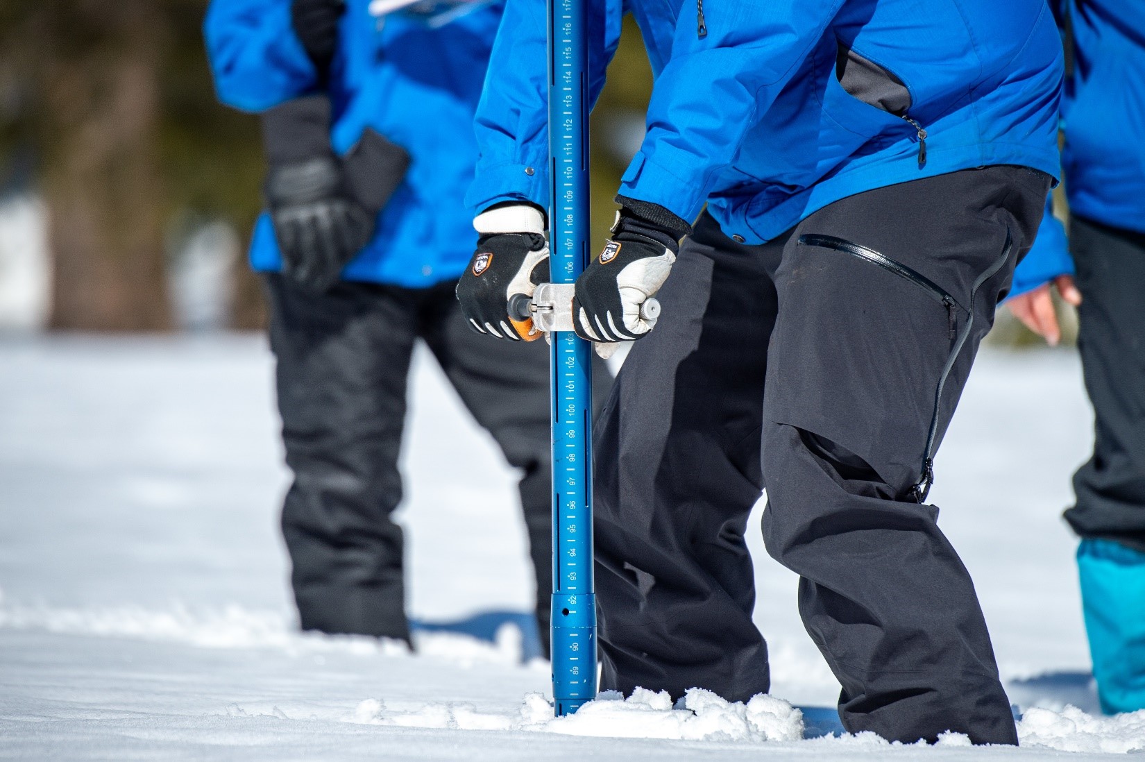 Snow Survey